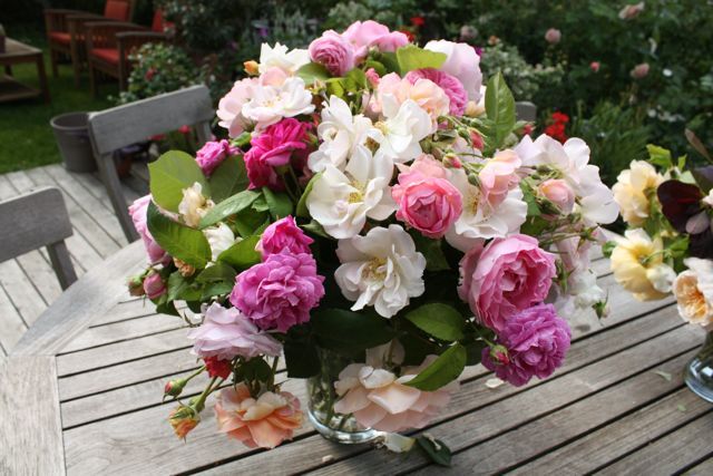 bouquet de roses jardin