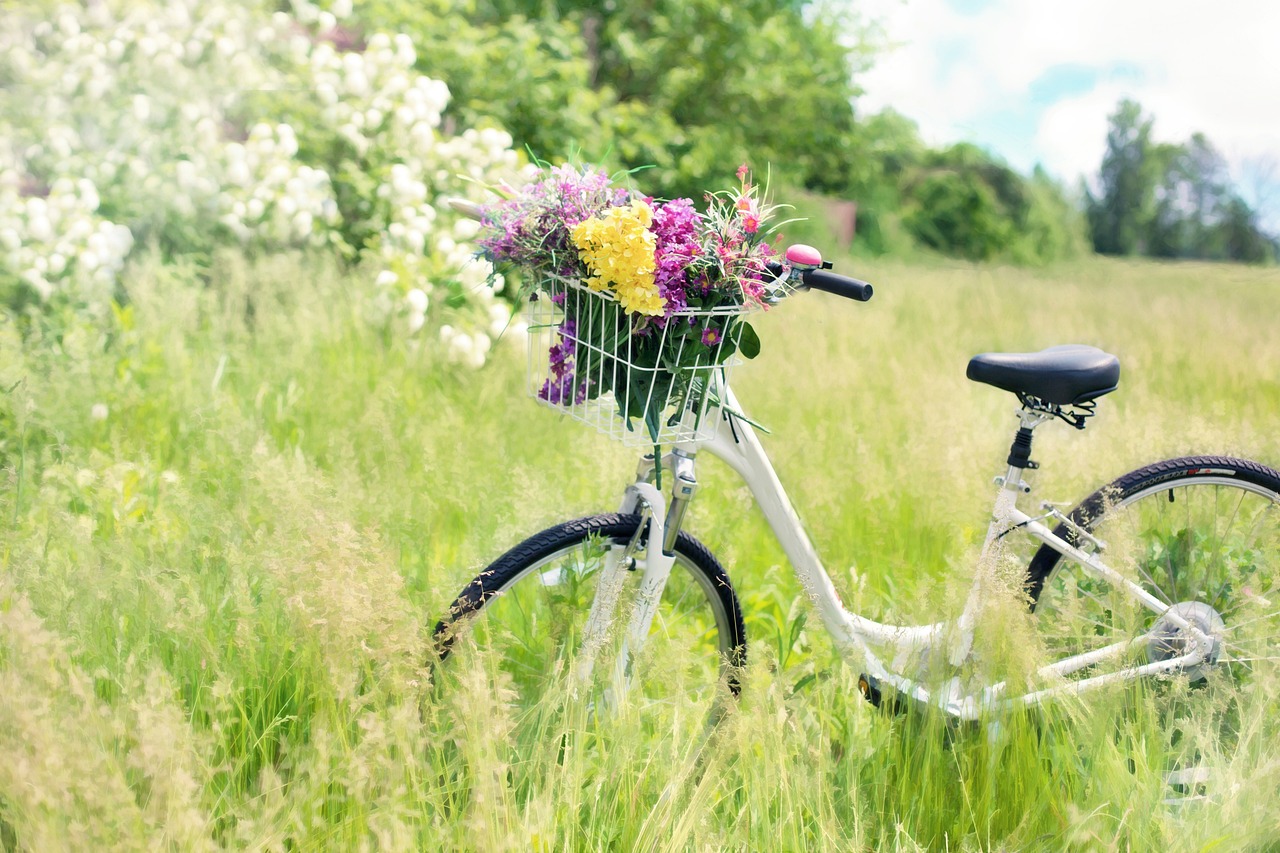 bicyclette champ fleur nature