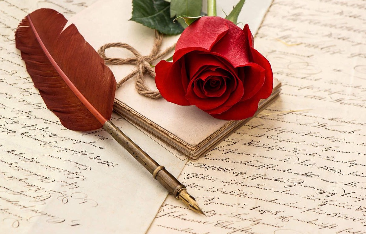 rose rouge plume poesie