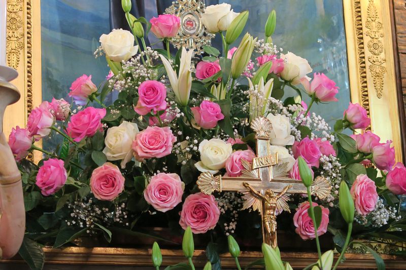De superbes roses pour feter Sainte Rita