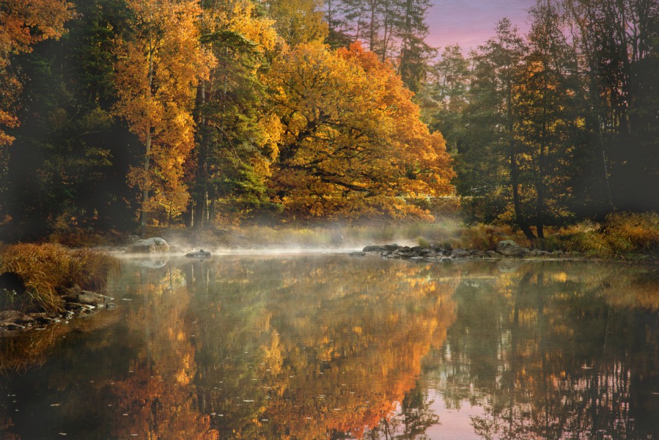 automne lac