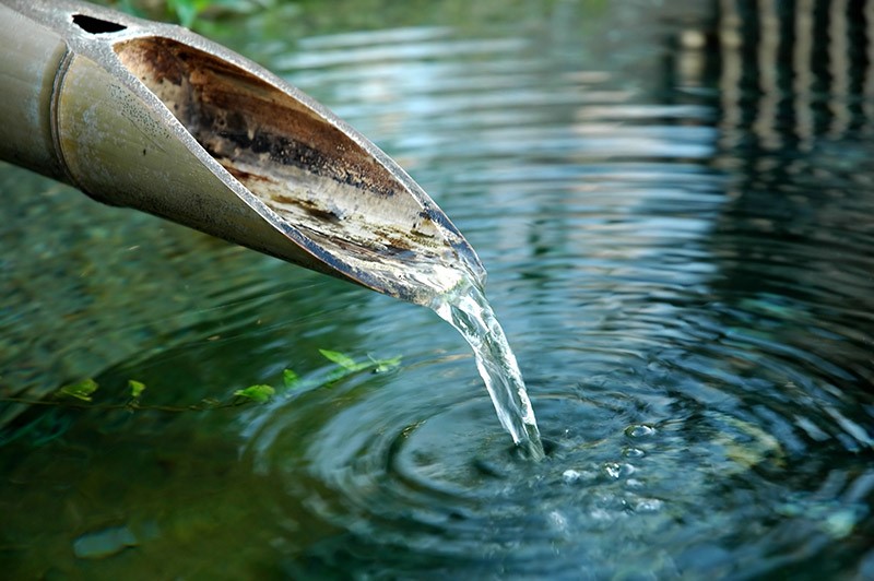 eau source bambou