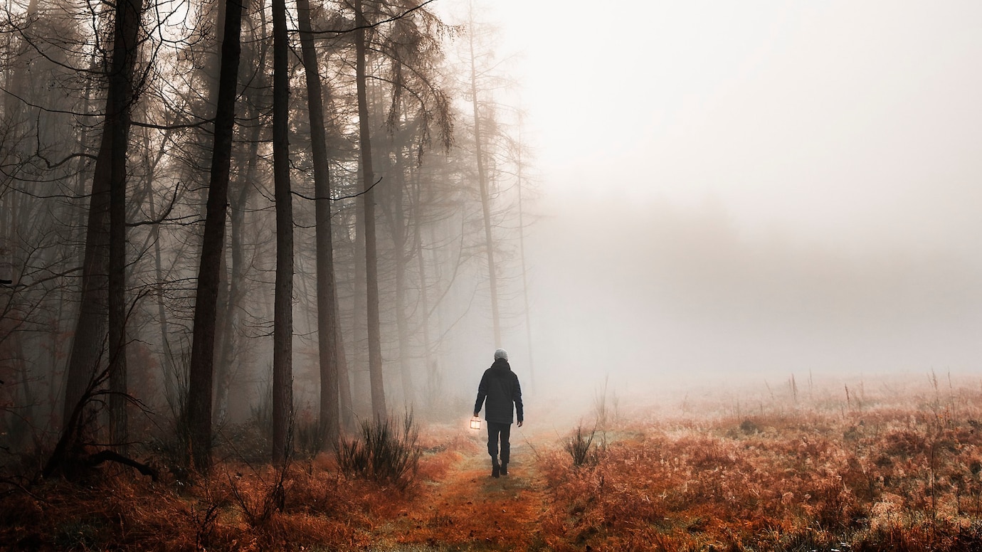homme marchant bois brouillard