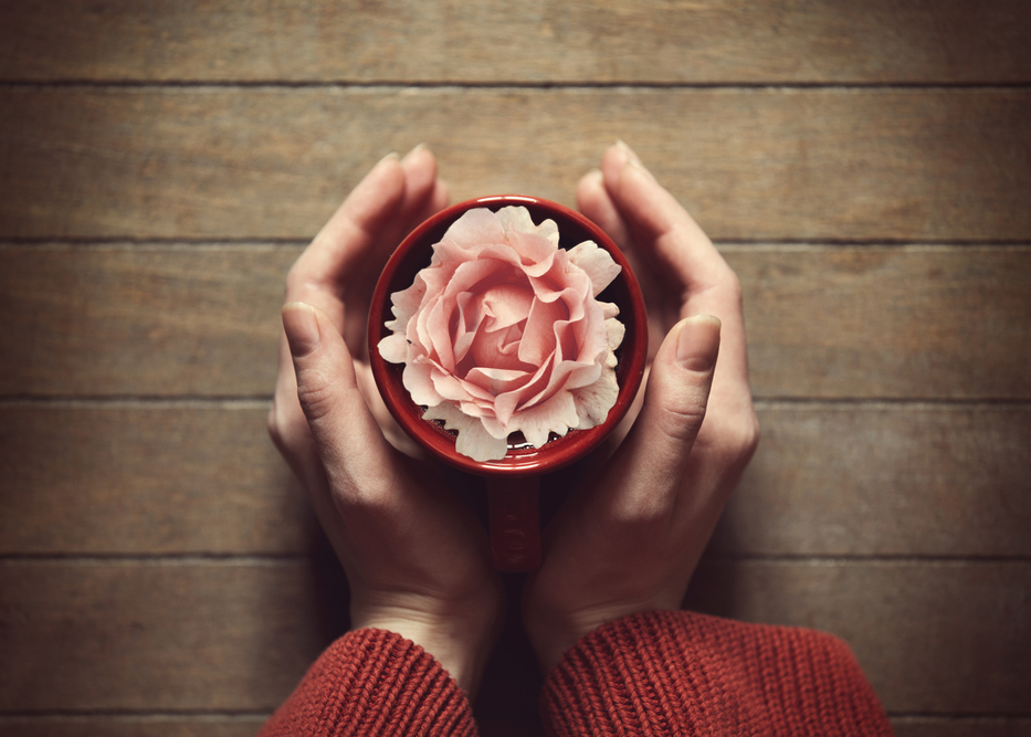 mains rose