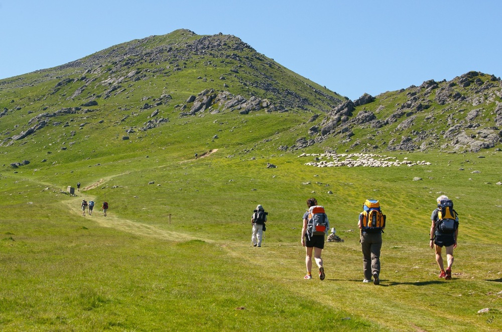 pelerins chemin