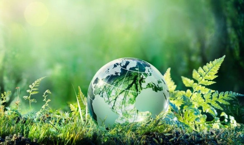 planete nature vert