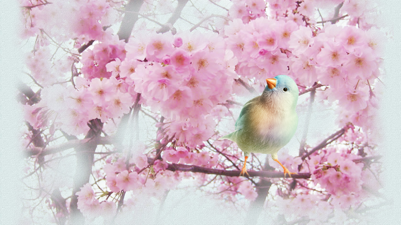 printemps fleurs oiseau