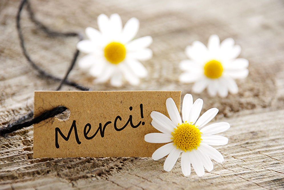 merci marguerites